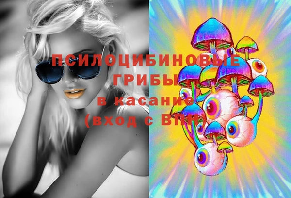 Альфа ПВП Краснослободск