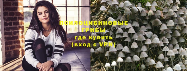 стафф Краснотурьинск