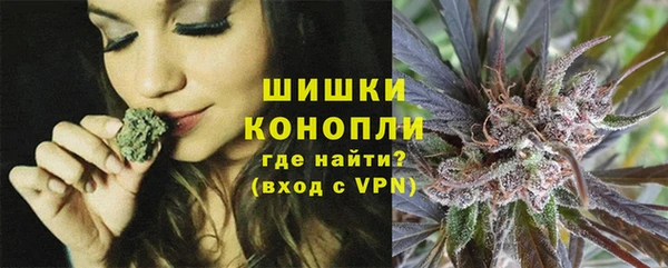 Альфа ПВП Краснослободск