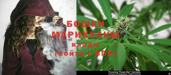 ECSTASY Кукмор