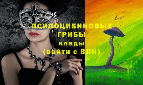 твердый Великий Новгород